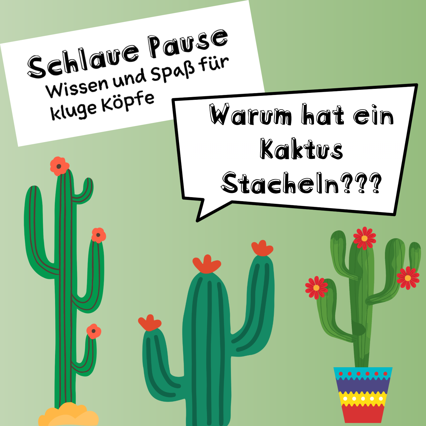 Warum hat ein Kaktus Stacheln?