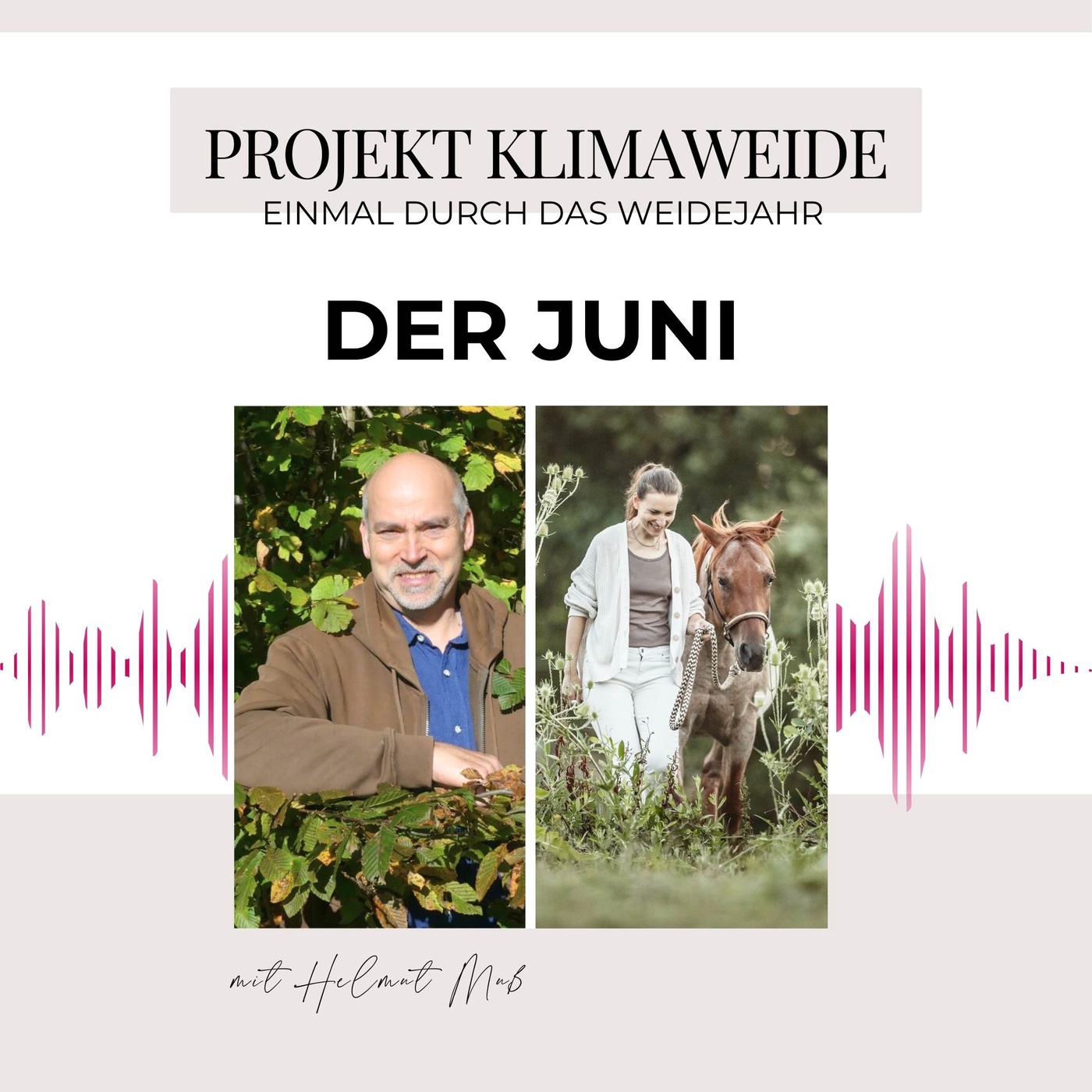 Die perfekte Klimaweide: Deine To DOs für den Juni