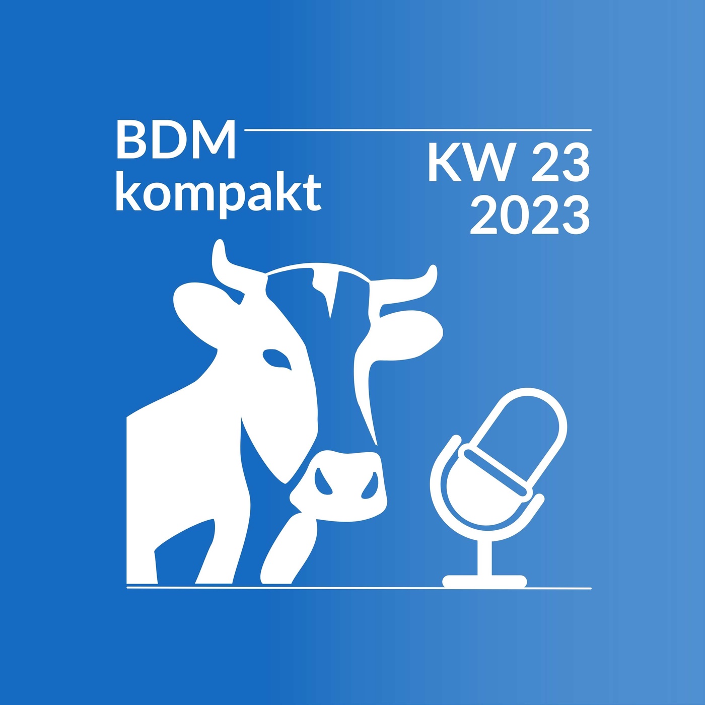 BDM kompakt KW 23/2023