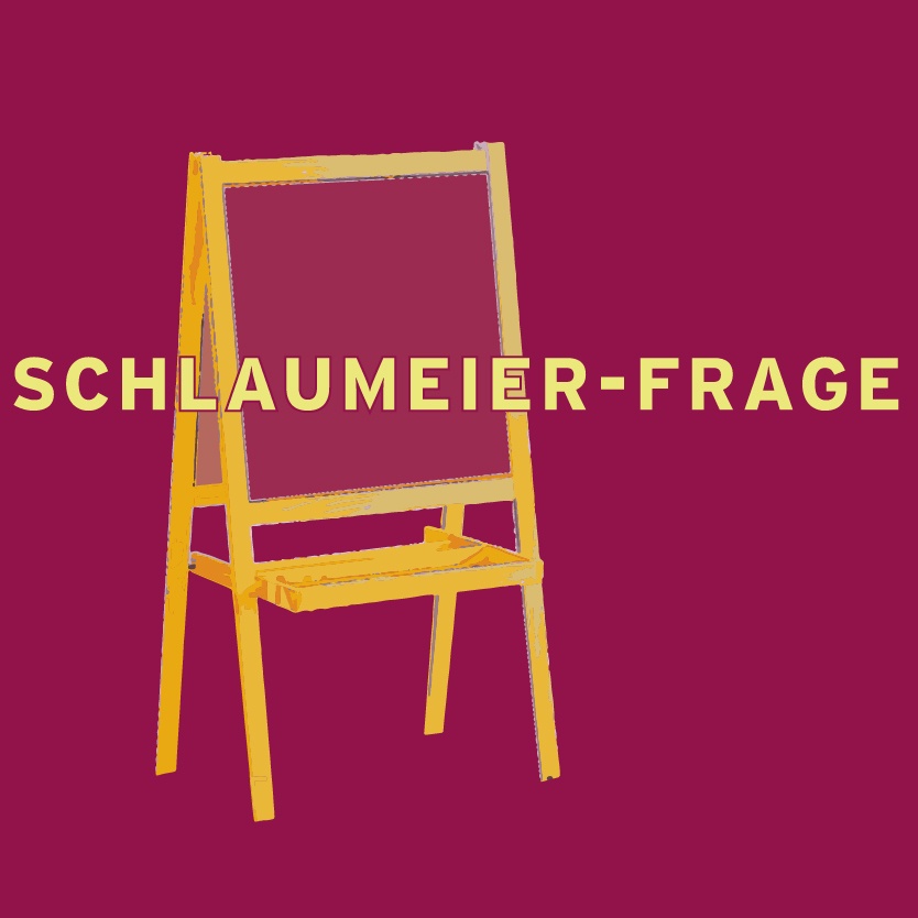 Schlaumeierfrage: Wie funktionieren Windräder?