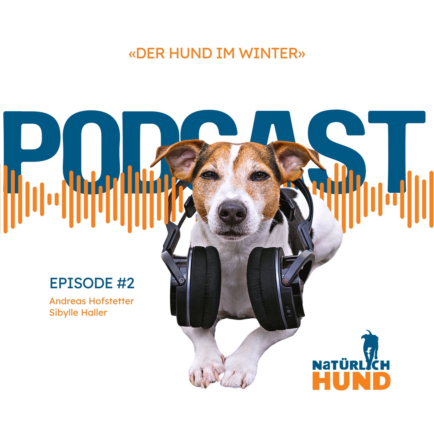 Der Hund im Winter #2