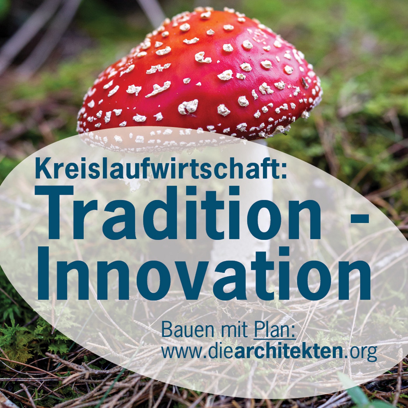 Tradition - Innovation