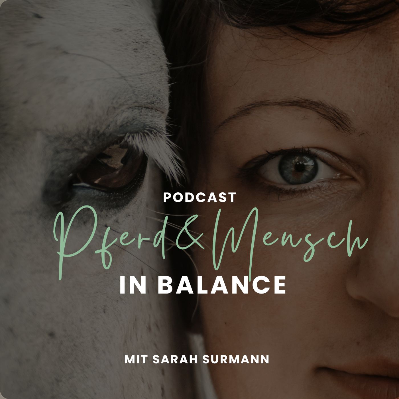 Pferd & Mensch in Balance