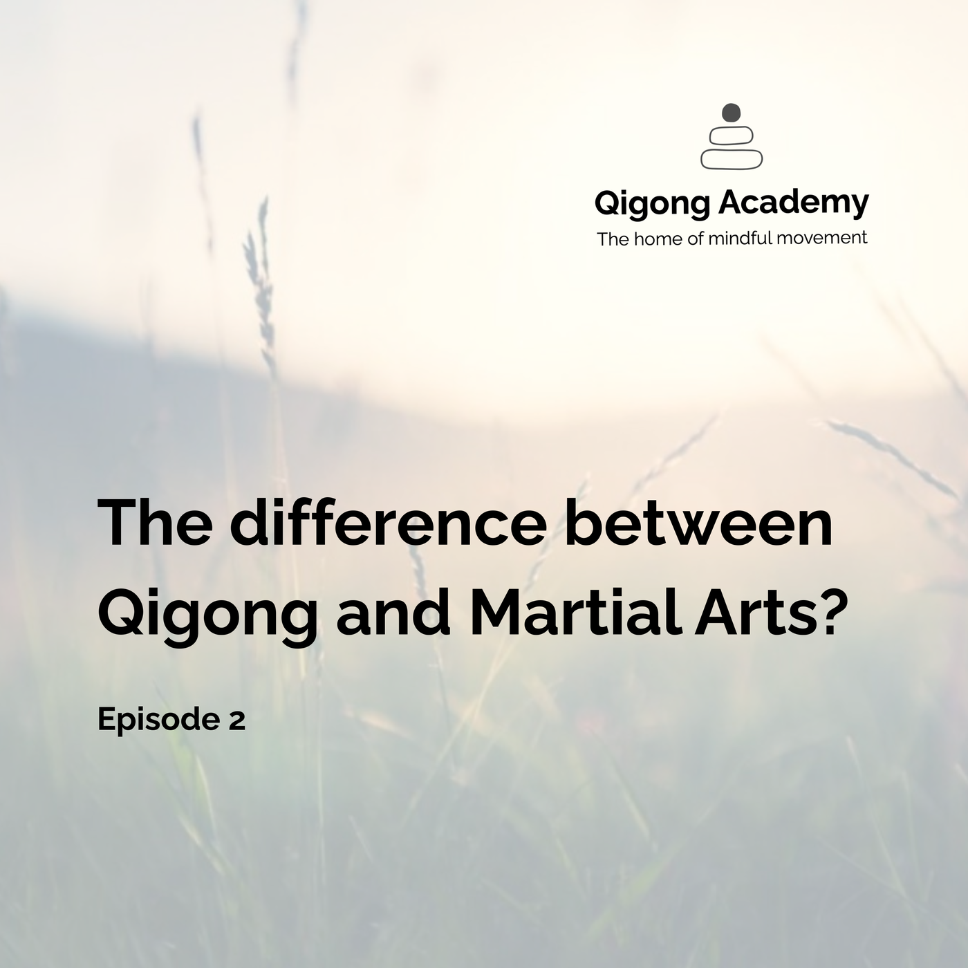 Episode 2 - What is the Difference between Martial and Qigong