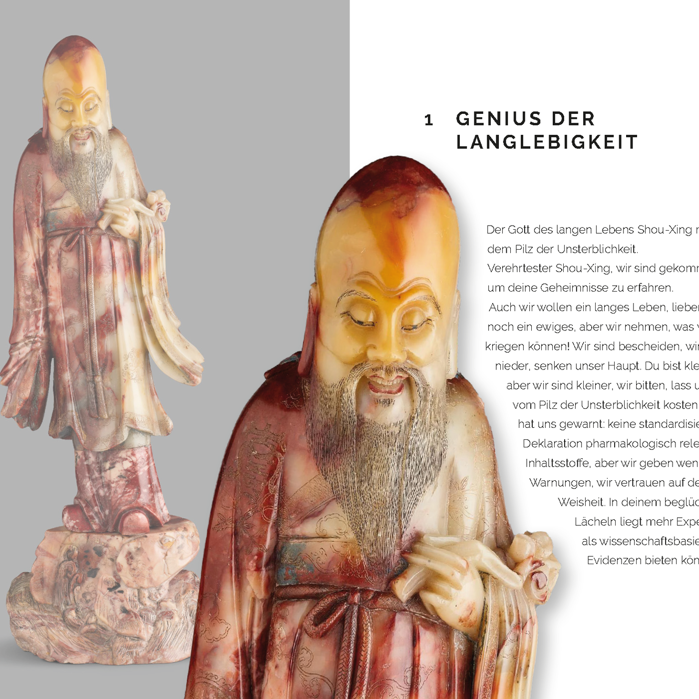 #1 Genius der Langlebigkeit