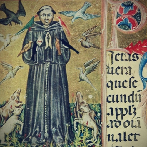 Der Mythos vom finsteren Mittelalter