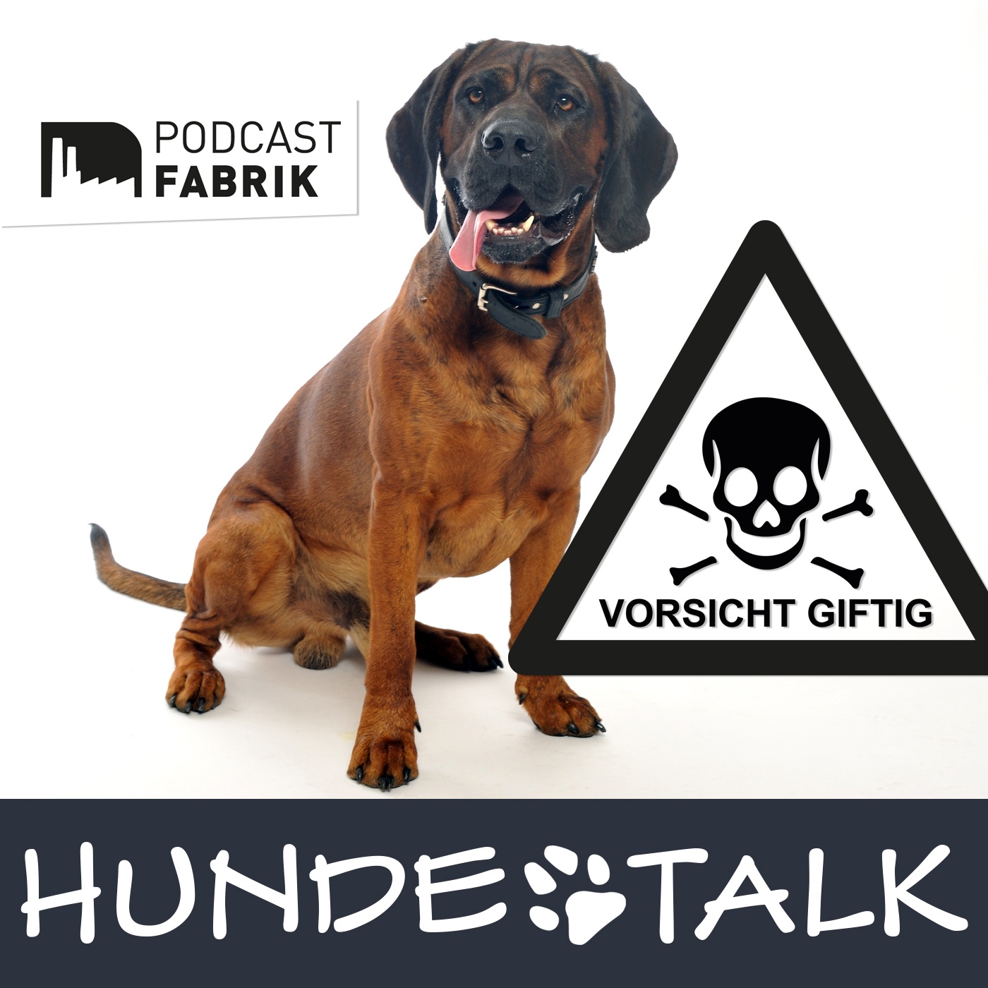 Antigiftködertraining - für die Gesundheit des Hundes