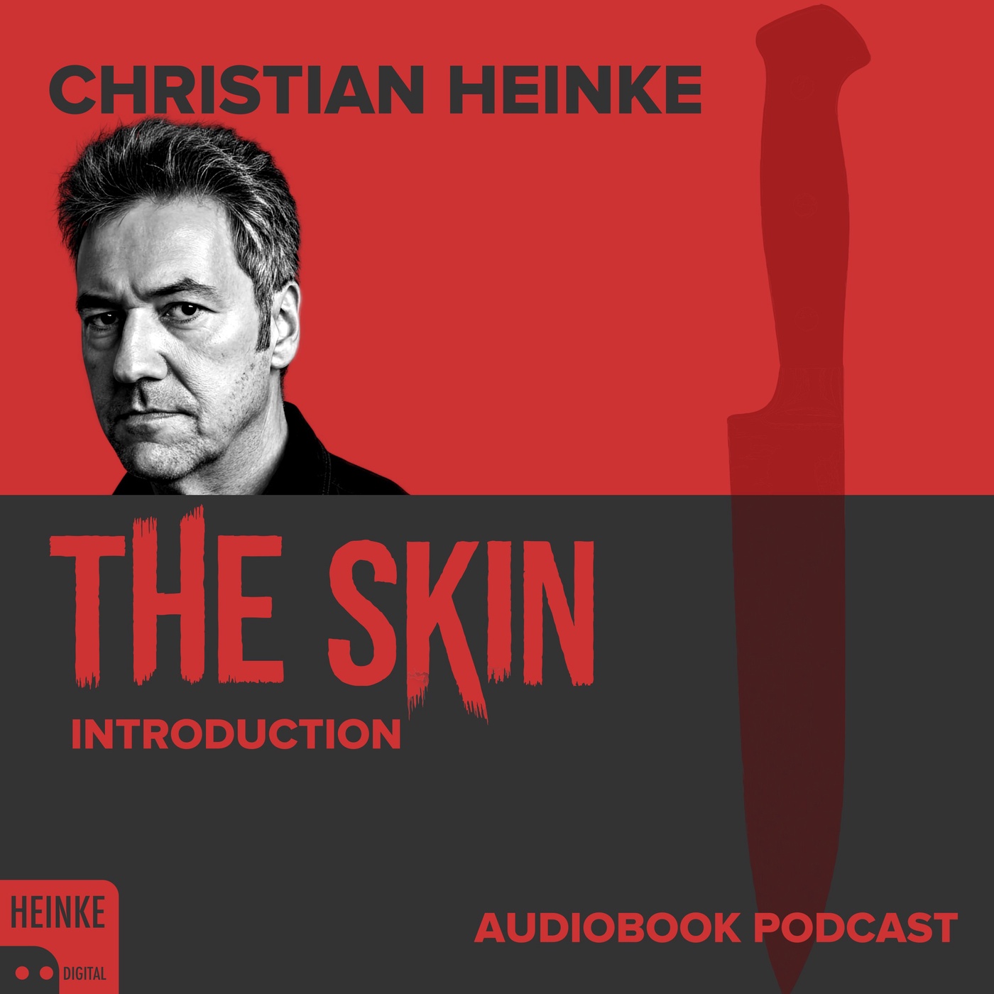 The Skin - Introduction