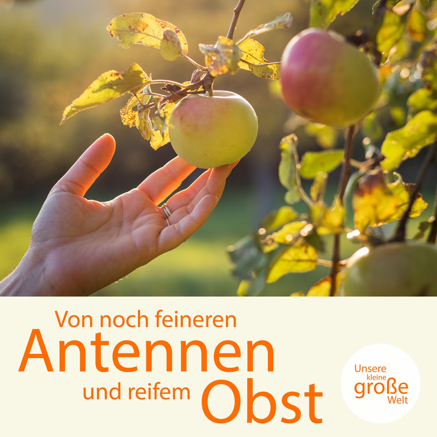 Von noch feineren Antennen und reifem Obst