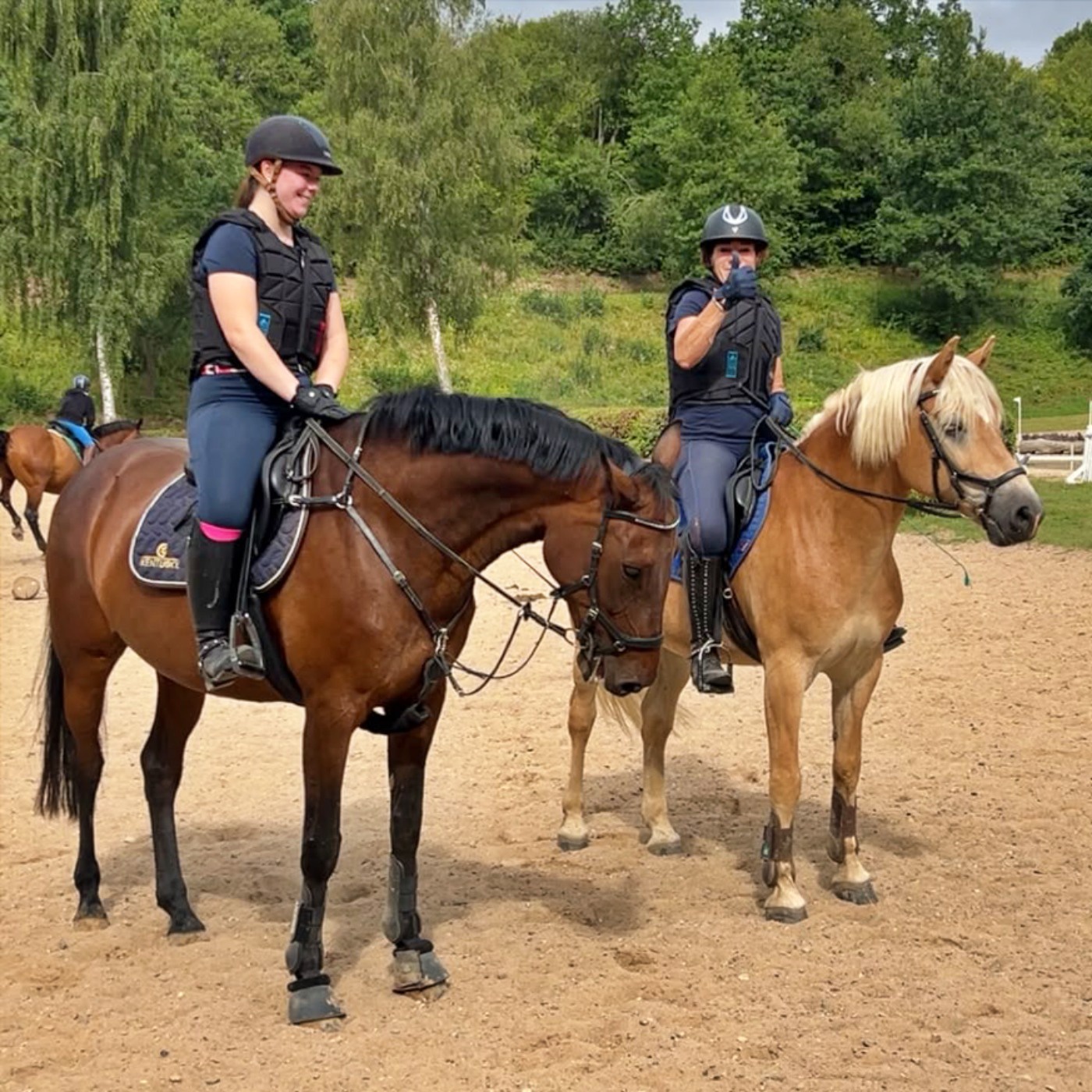 #472 Haflinger knacken den Weltrekord!