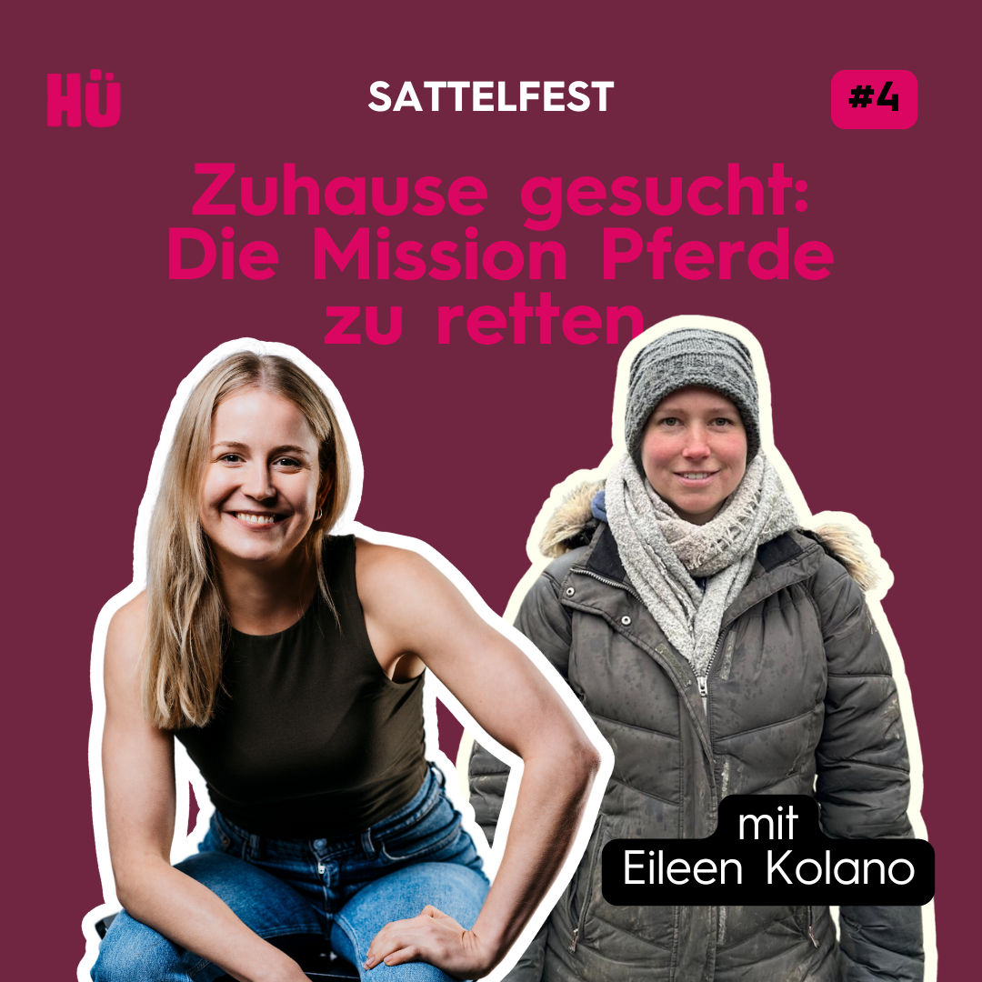 Zuhause gesucht: Die Mission Pferde zu retten mit 4 Hufe im Glück e.V.