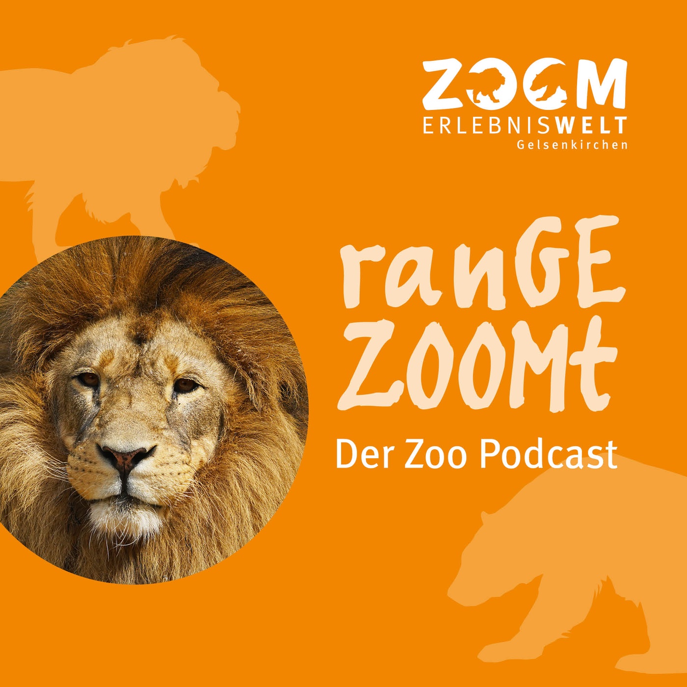 ranGEZOOMt - Der Podcast aus der ZOOM Erlebniswelt