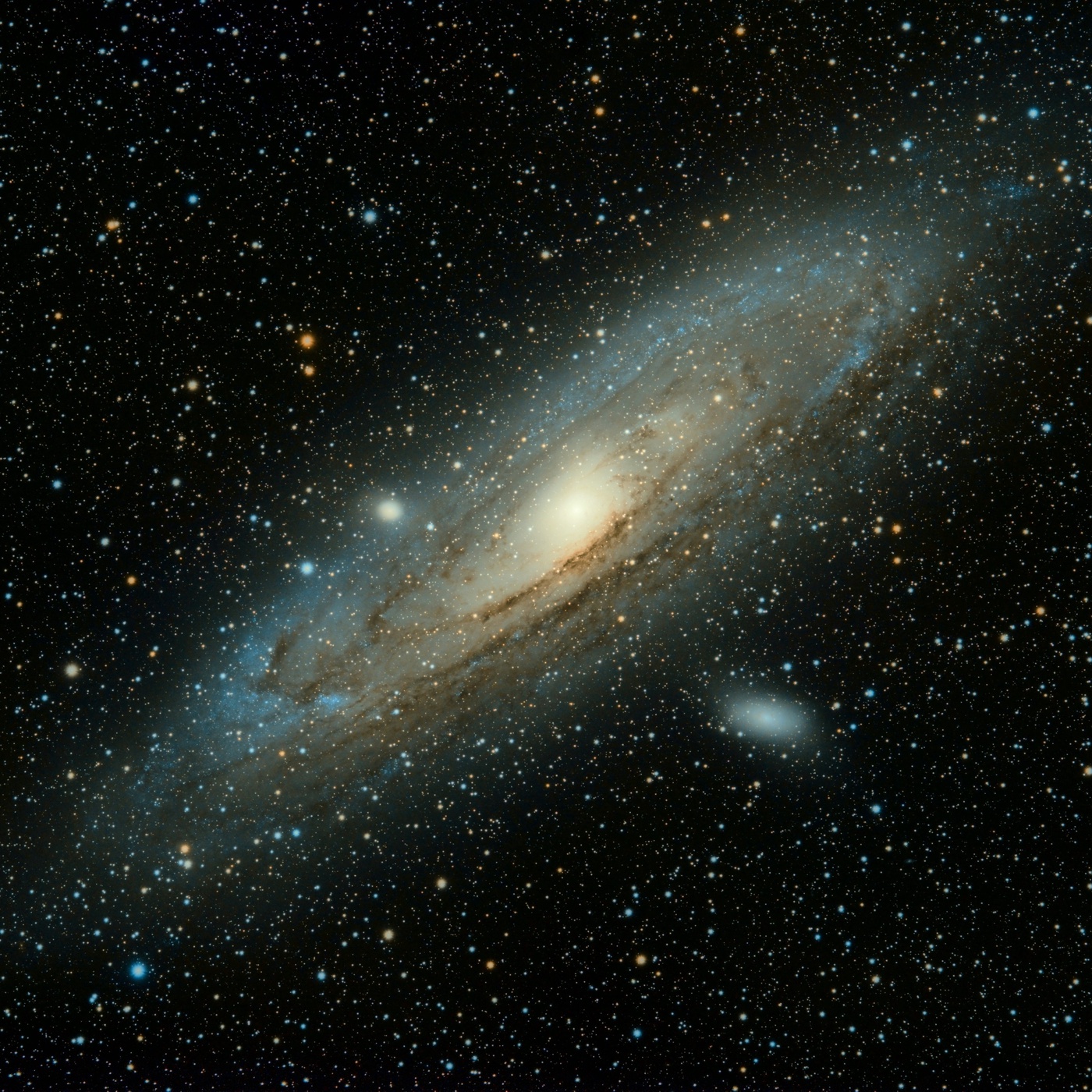 Aufstieg in die globale Elite: Thomas Zurbuchens Weg