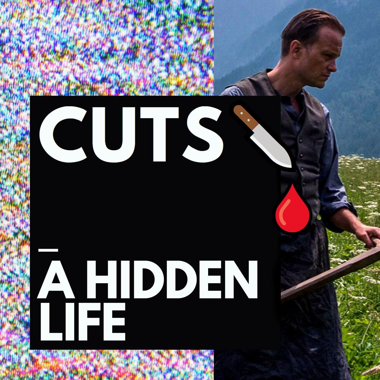 #8 A Hidden Life