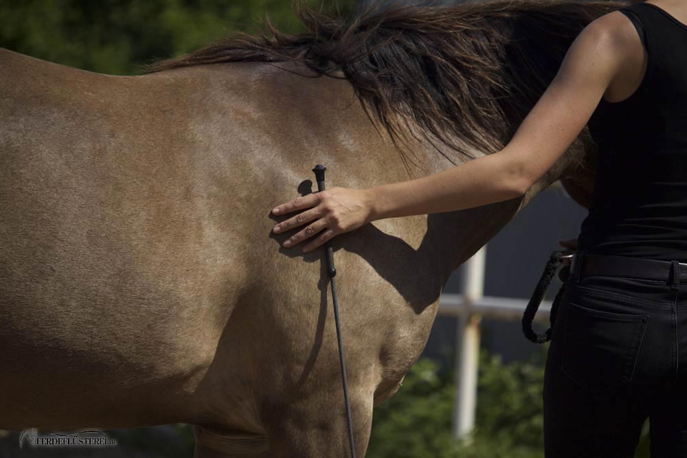 Mit nur einem Buchstaben zu einer besseren Beziehung