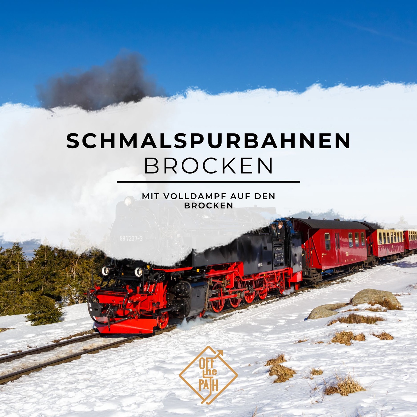 Mit Volldampf auf den Brocken: Entdecke die Harzer Schmalspurbahnen