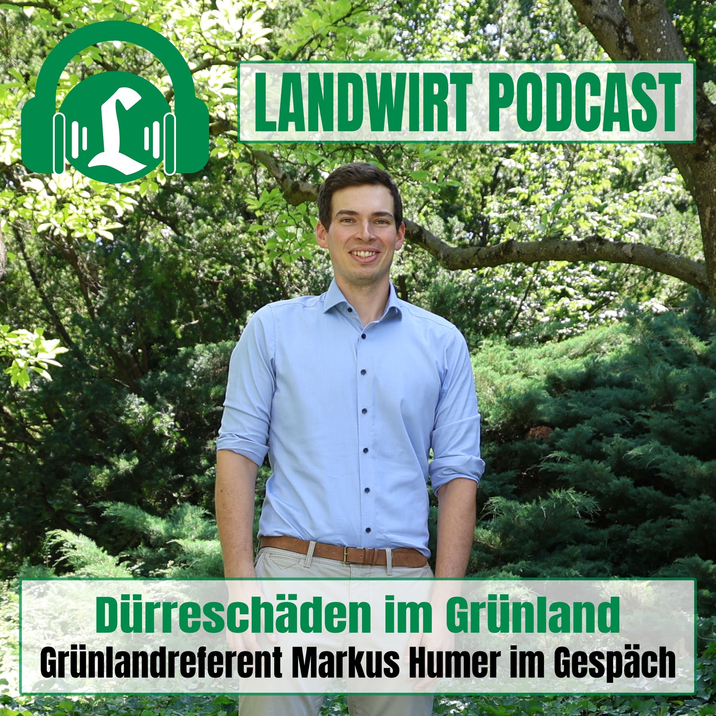 Dürreschäden im Grünland