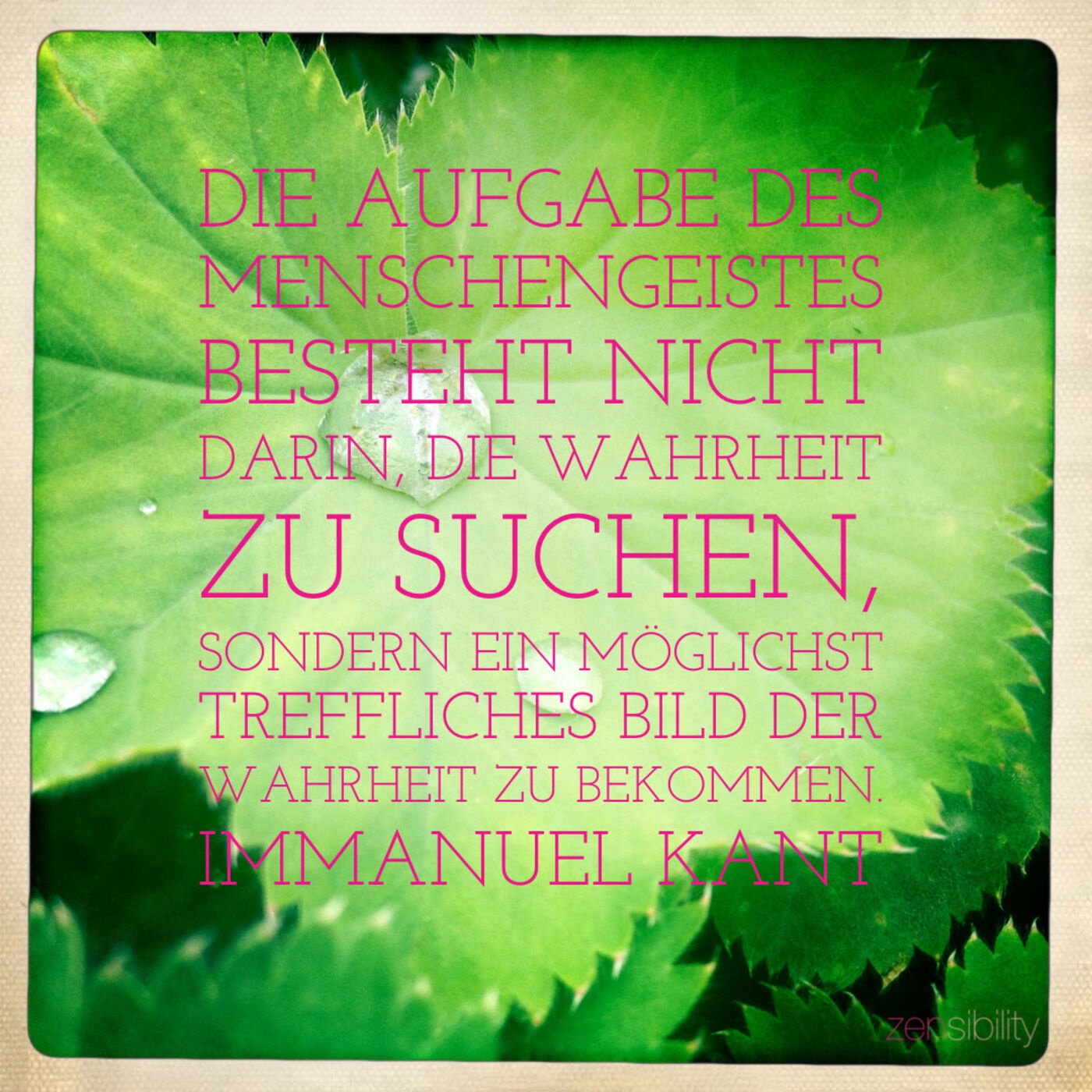 Verständnis