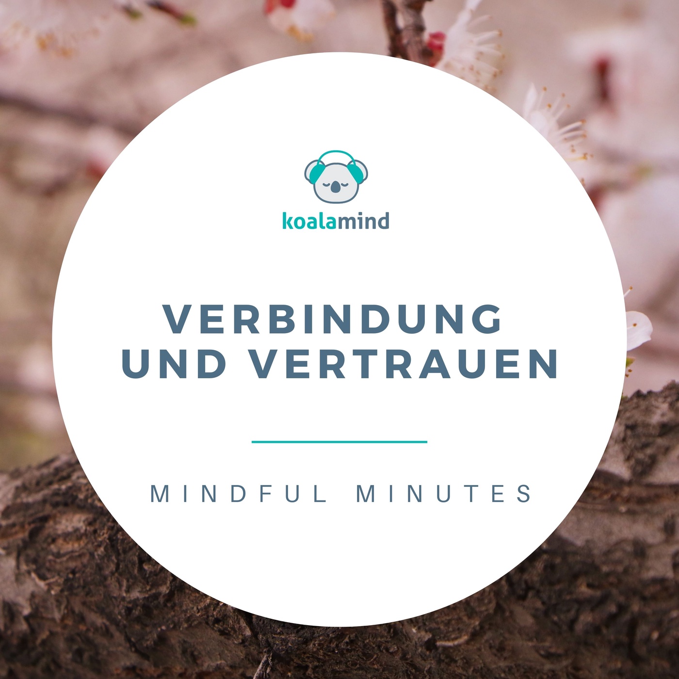 Mindful Minutes: Verbindung und Vertrauen