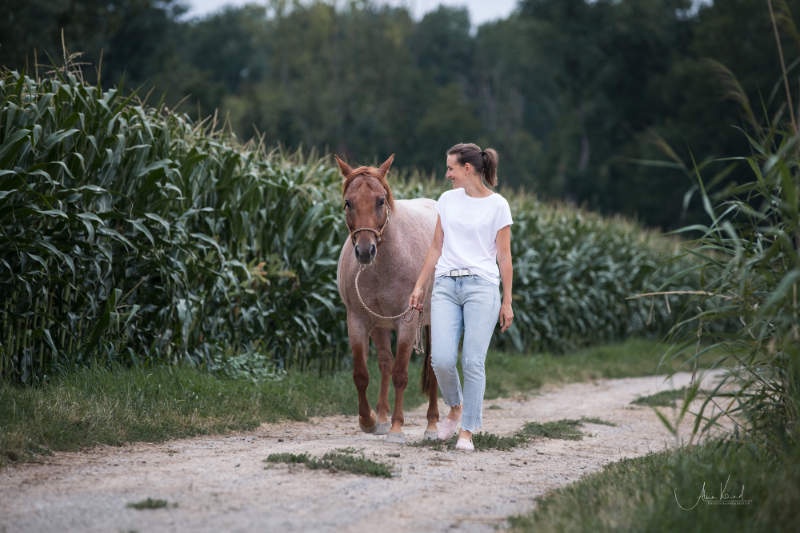 Führtraining mit dem Pferd