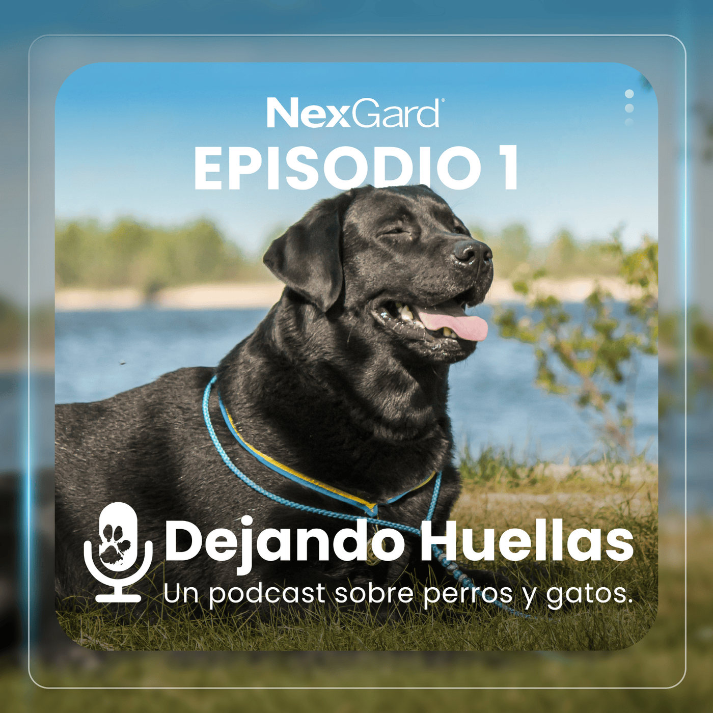 Fundappas: Transformando vidas desde la experiencia