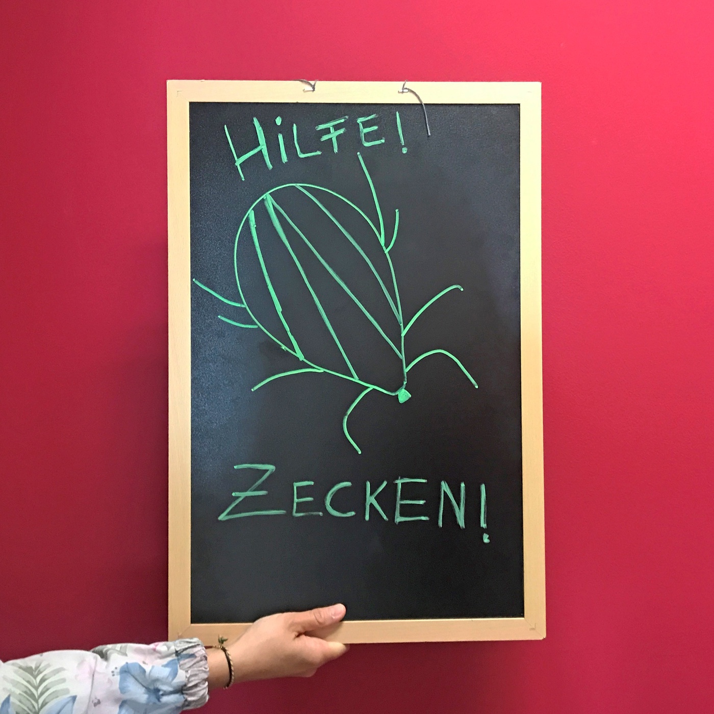 Wieso sind Zecken gefährlich für Menschen?