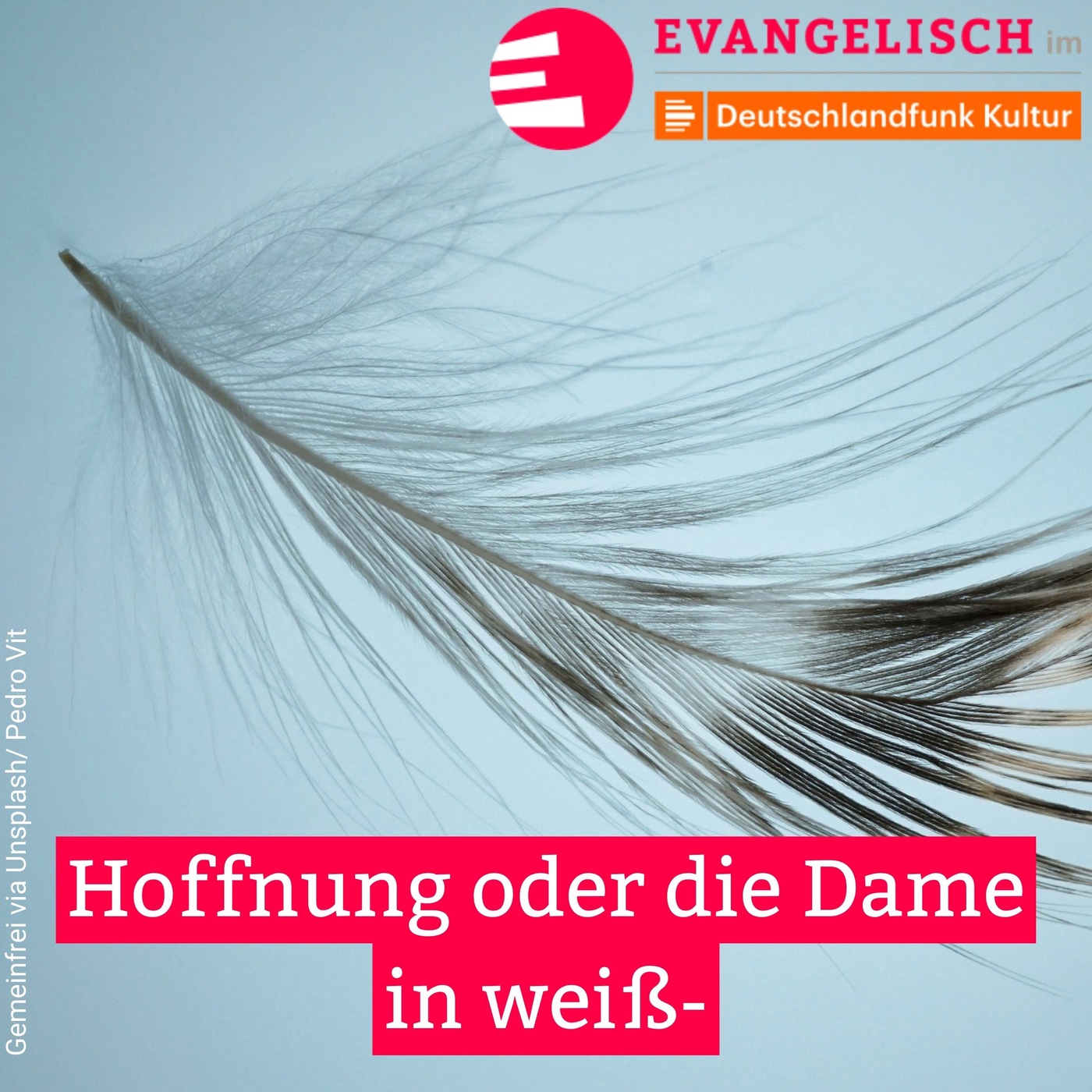 Hoffnung oder die Dame in weiß