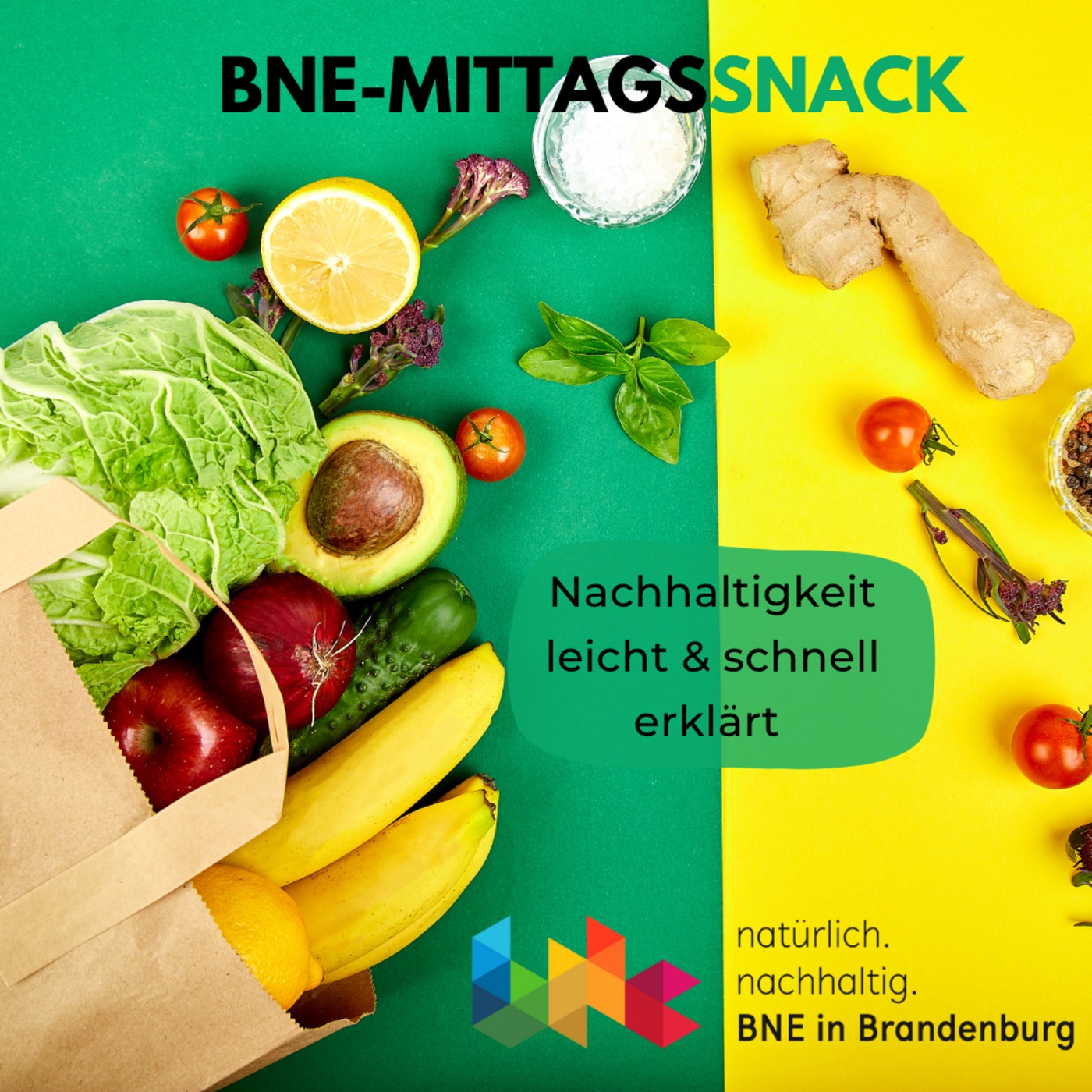 BNE Mittagssnack: Nachhaltigkeit schnell und einfach erklärt