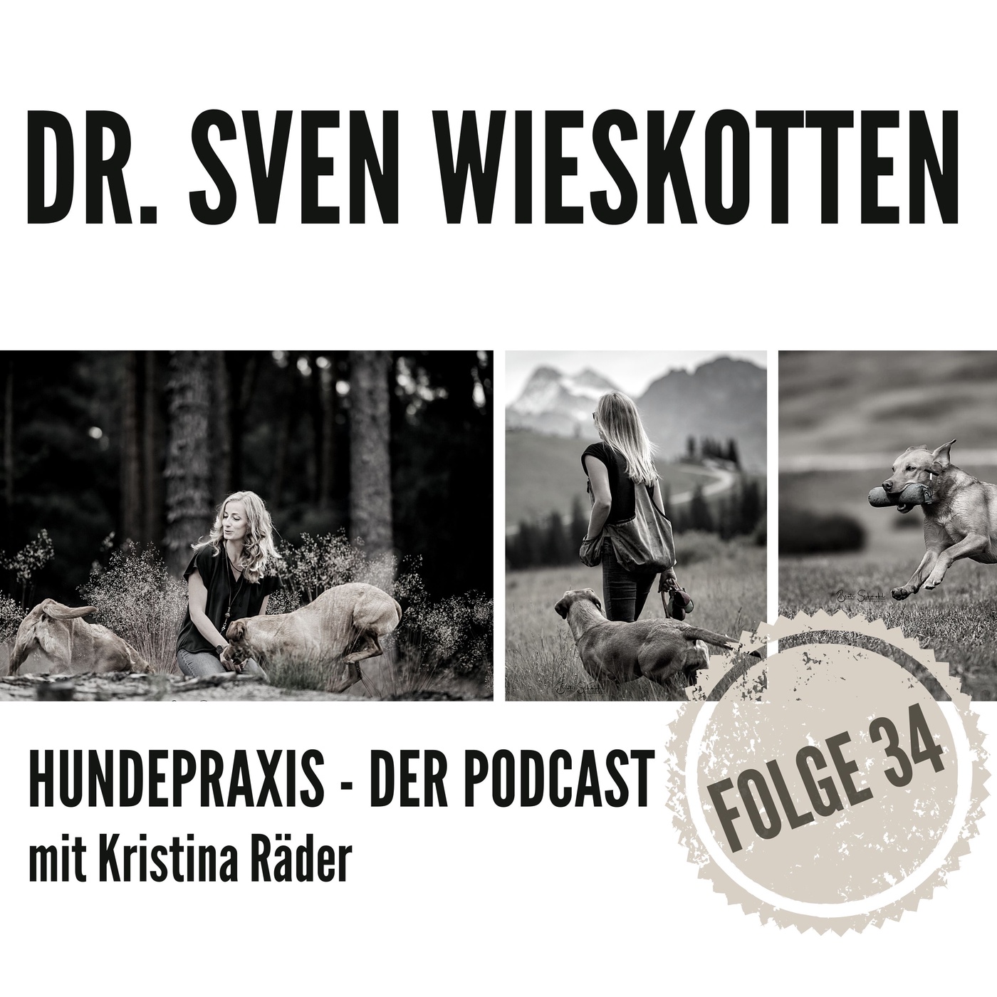 Was Hunde & Seehunde gemeinsam haben - Dr. Sven Wieskotten