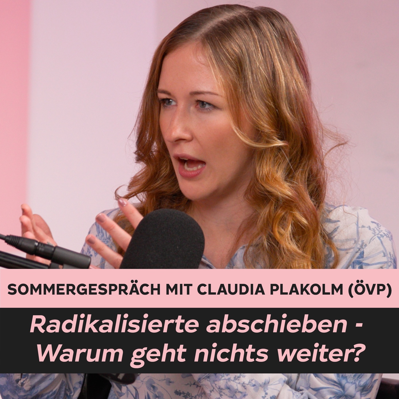 Radikalisierte abschieben - Warum geht nichts weiter? Claudia Plakolm (ÖVP) im Sommergespräch