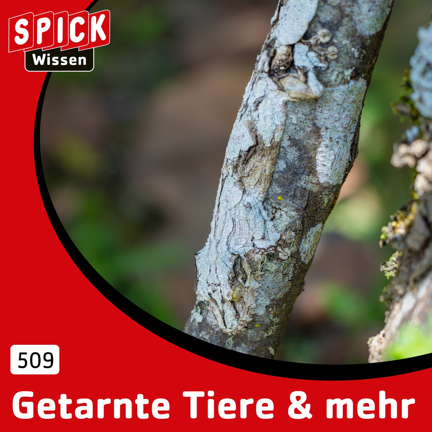 Getarnte Tiere & mehr