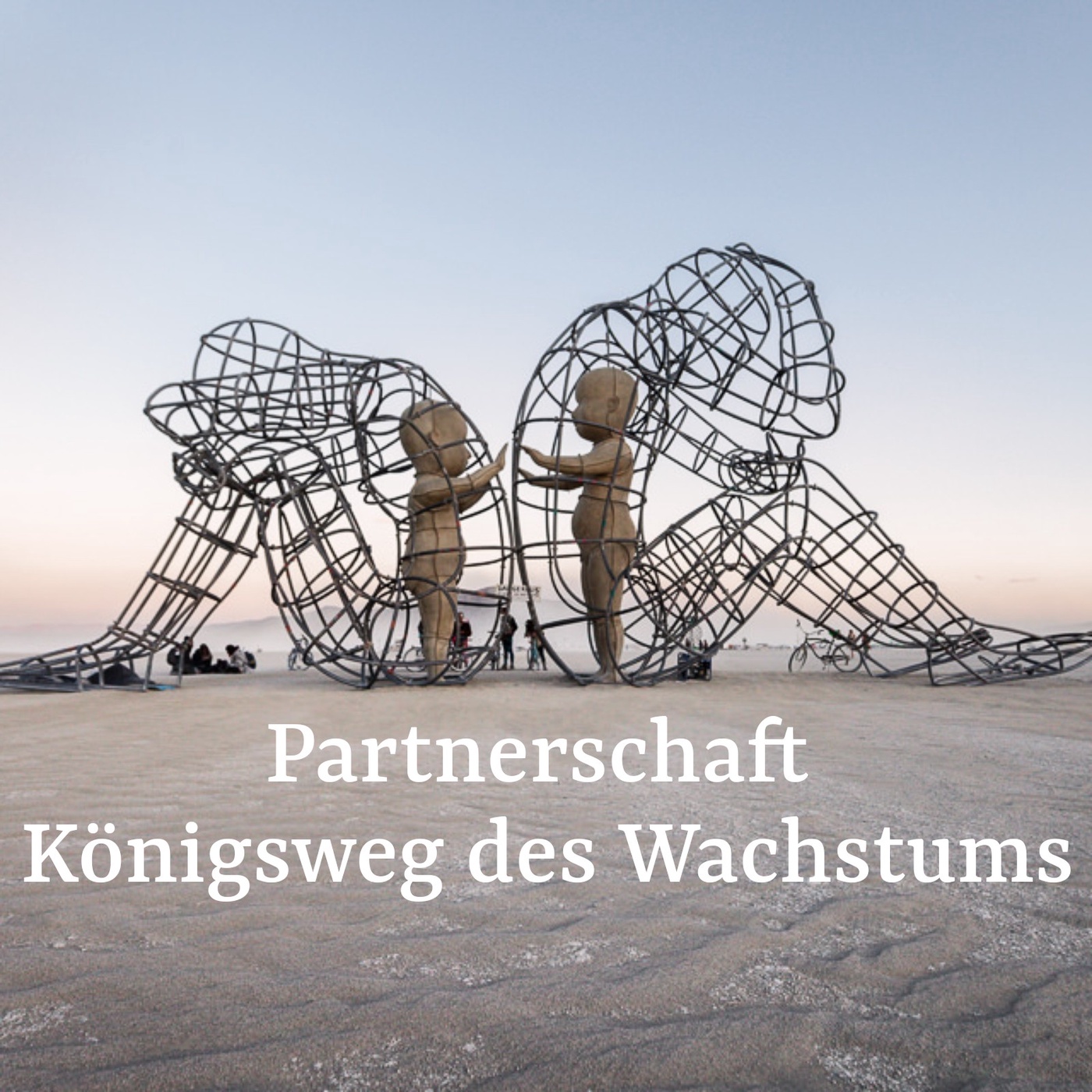 Partnerschaft als Königsweg des Wachstums