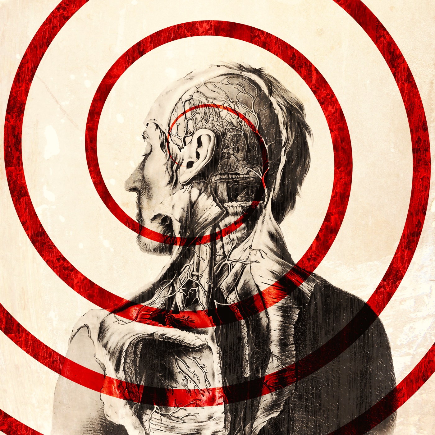DRR-SHOW – 19-2019