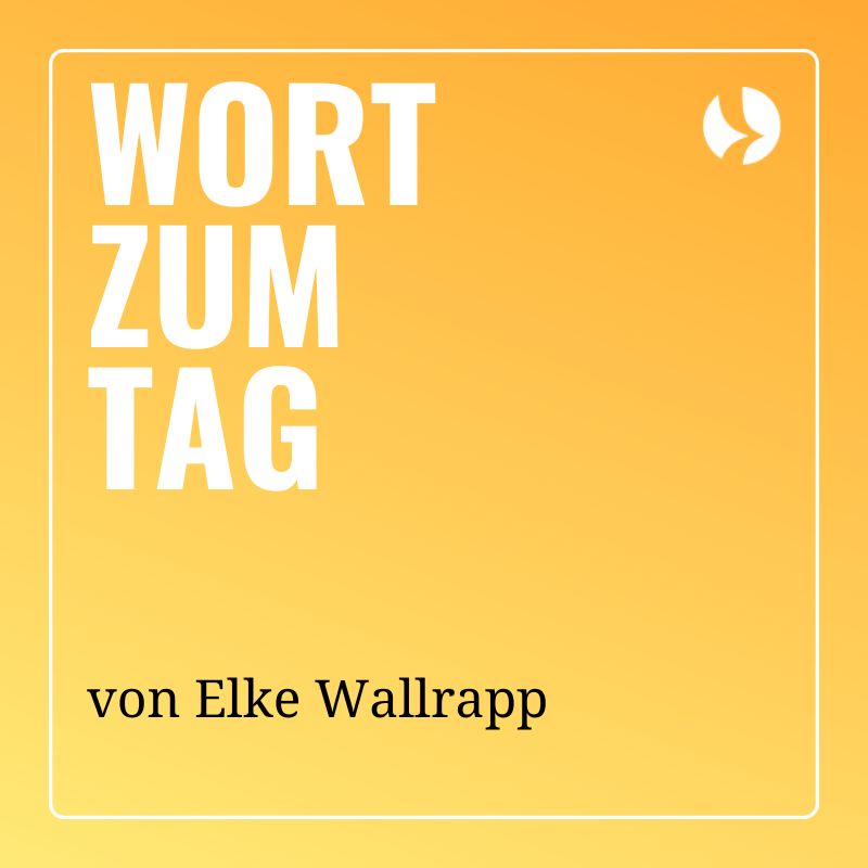 Frühjahrsputz