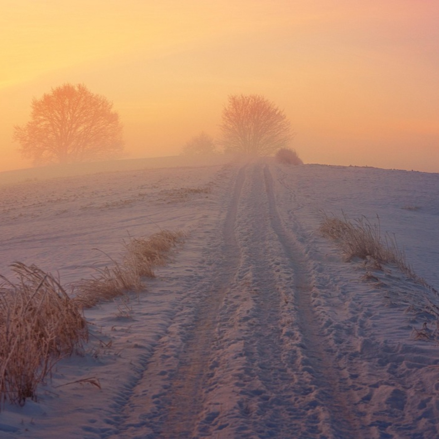 Adventkalender #13 Georg Ruppe