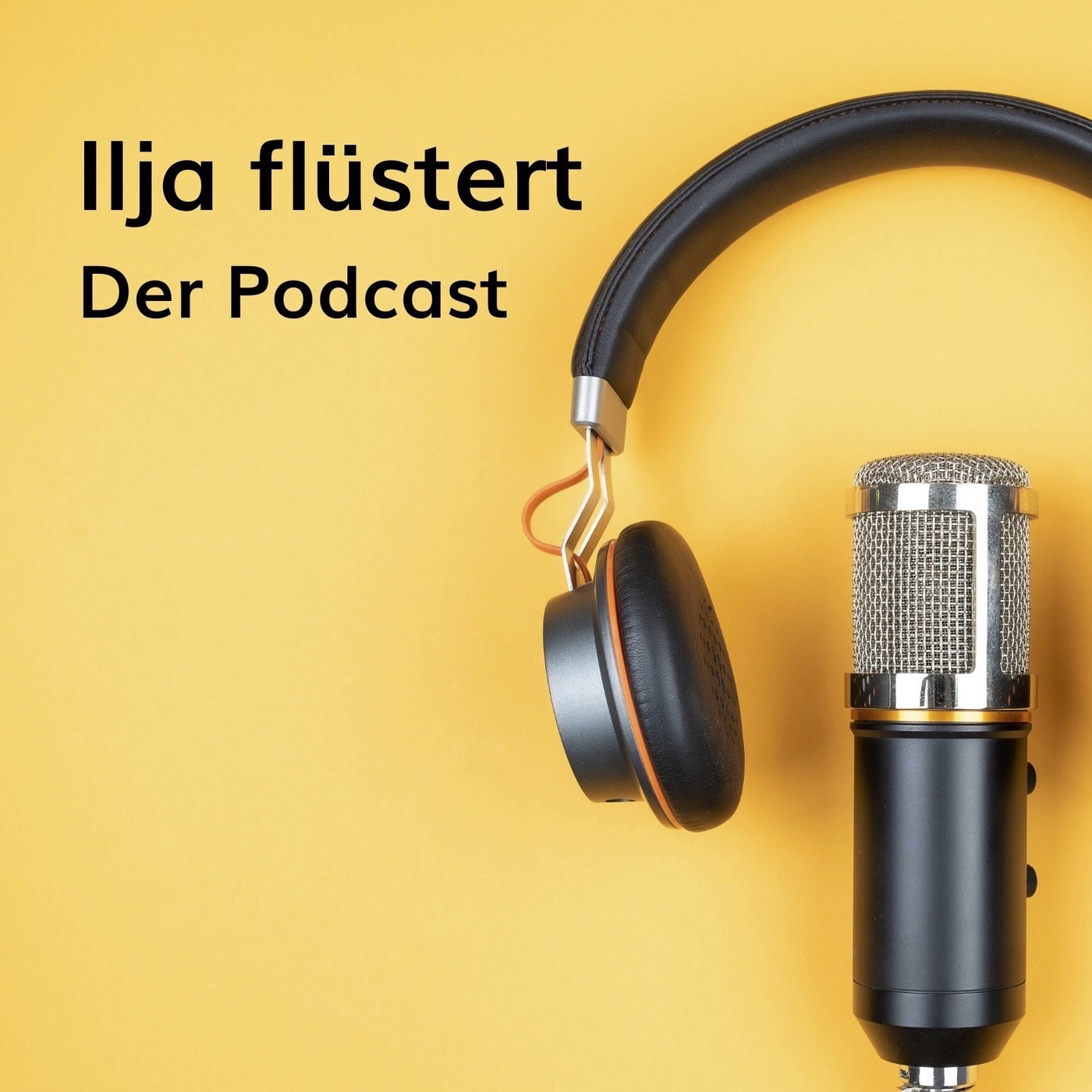 Pferdesprache ist Energie