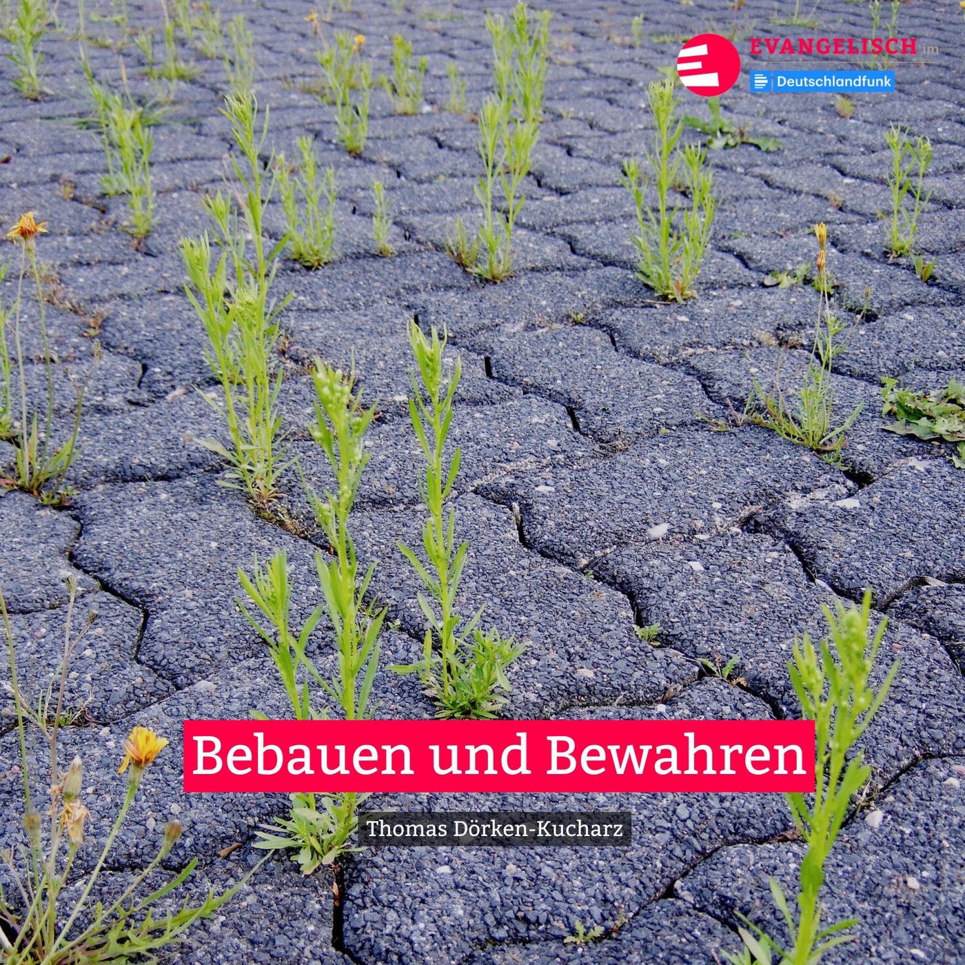 Bebauen und Bewahren