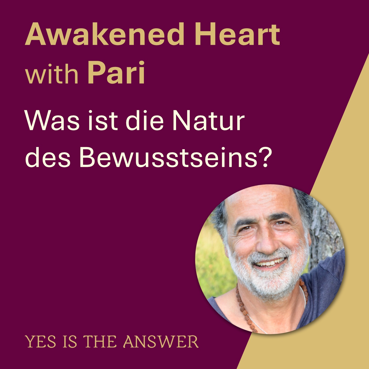 Was ist die Natur des Bewusstseins?