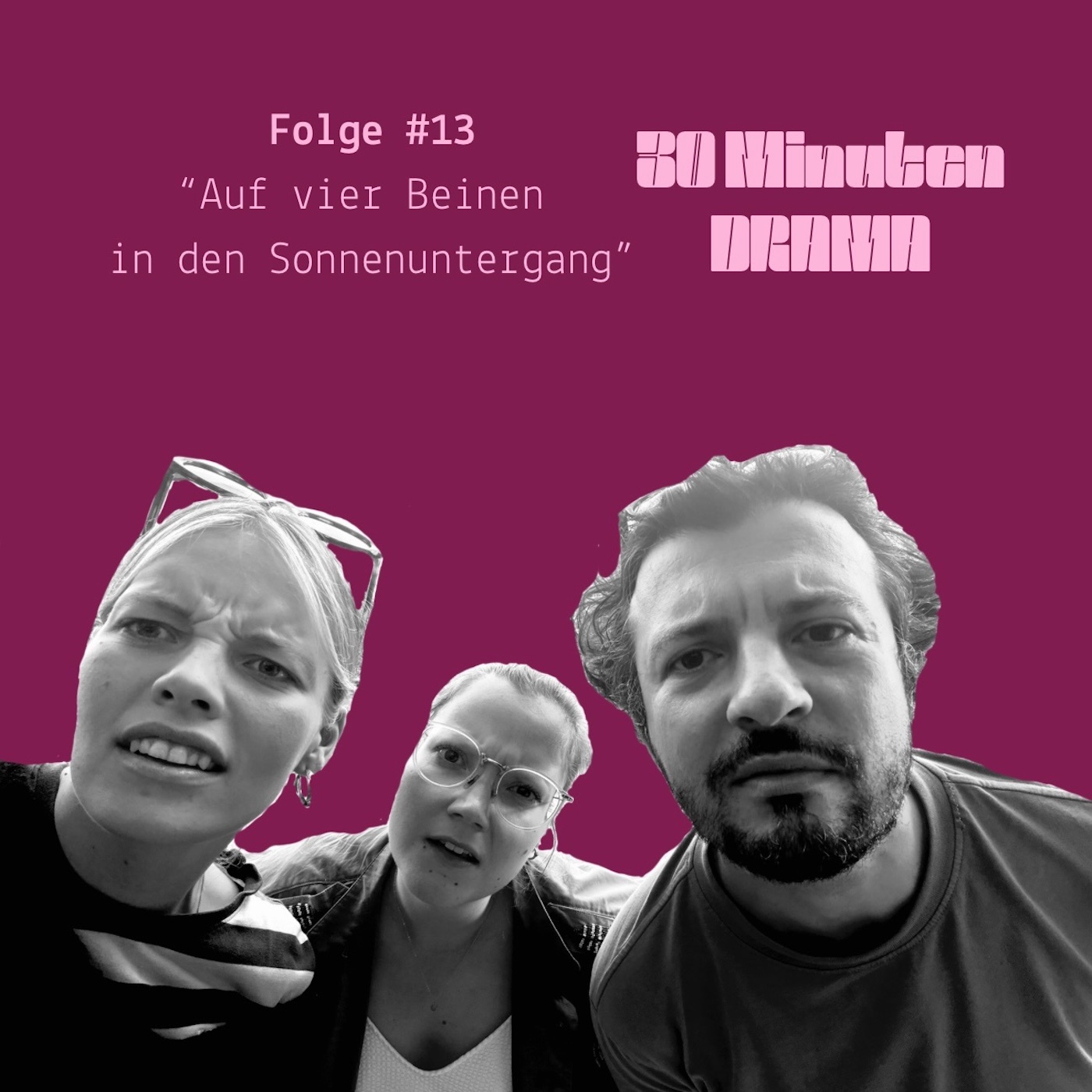 #13 Auf vier Beinen in den Sonnenuntergang