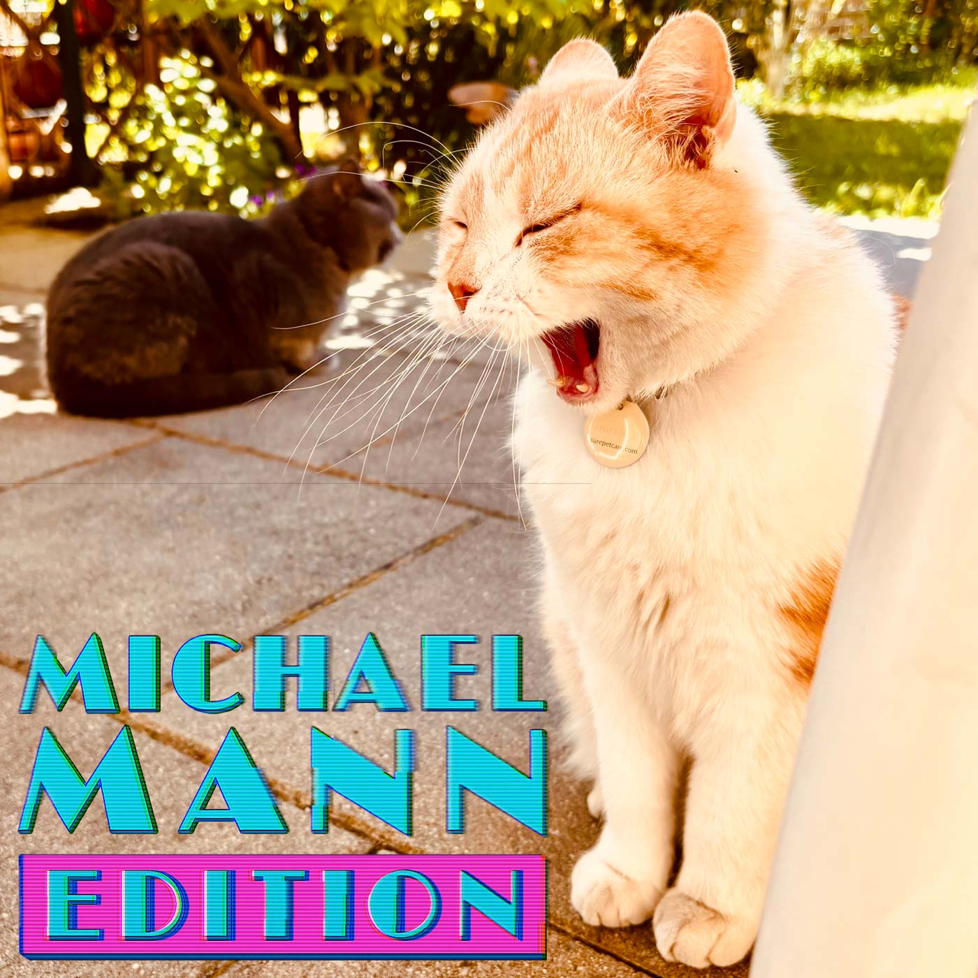 Michael Mann – Teil 1 (1981-1986) mit Max Roth