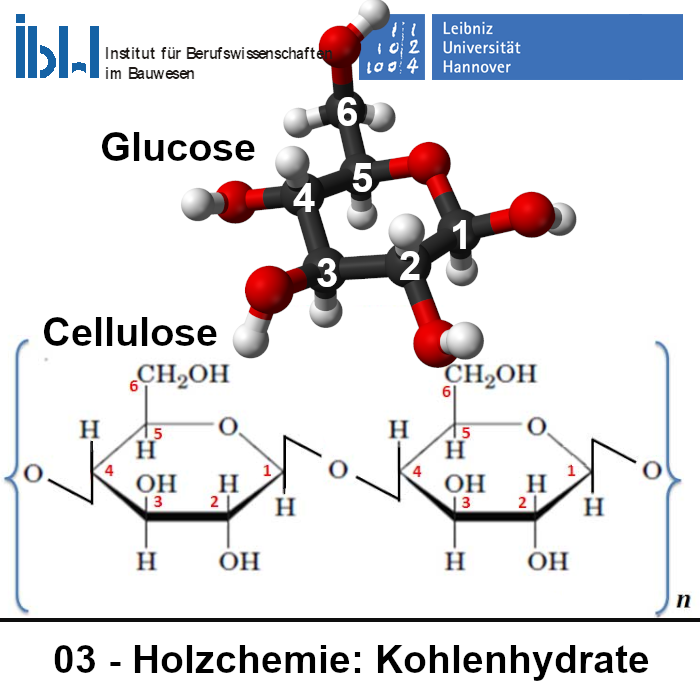 03 Holzchemie: Kohlenhydrate