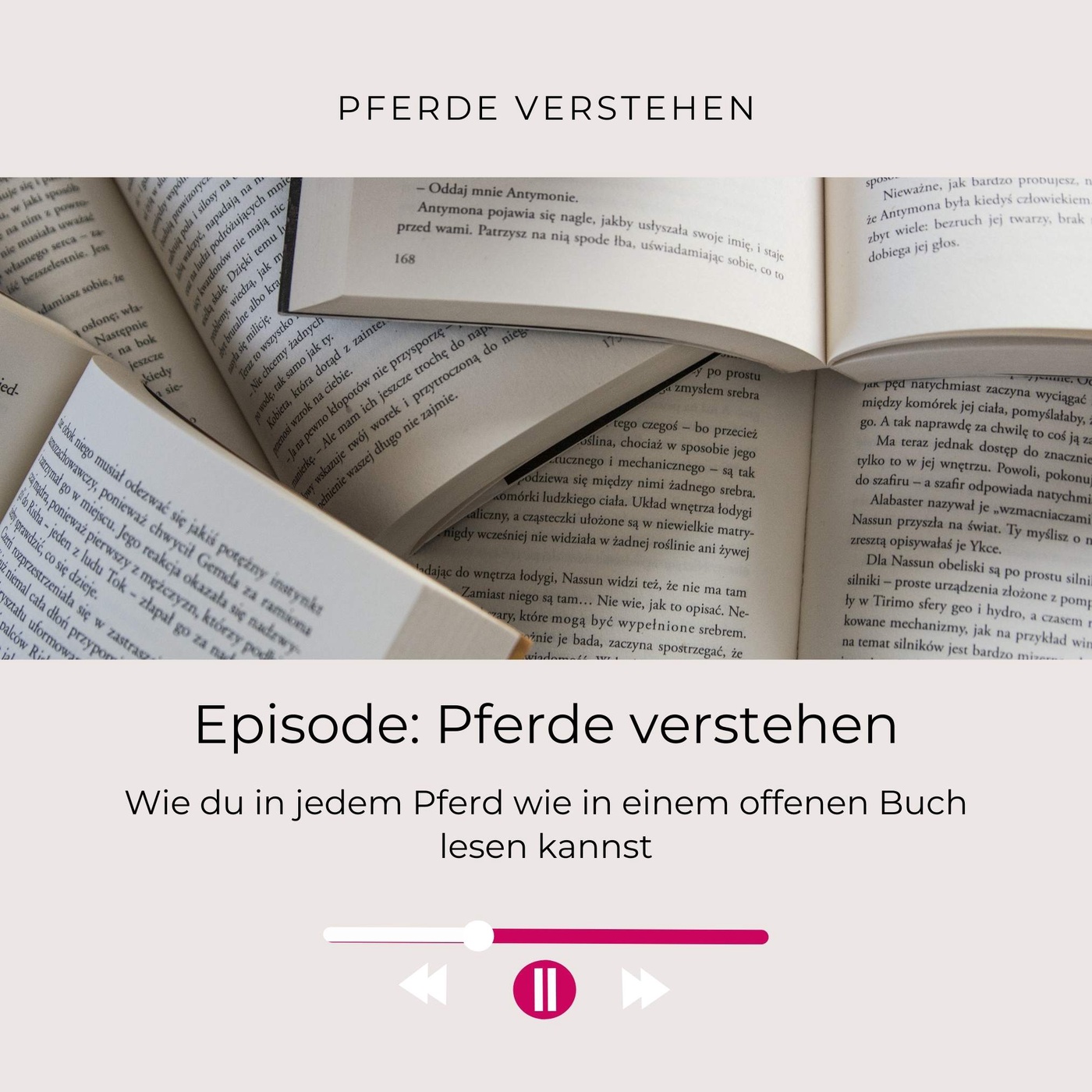 Pferde lesen und verstehen