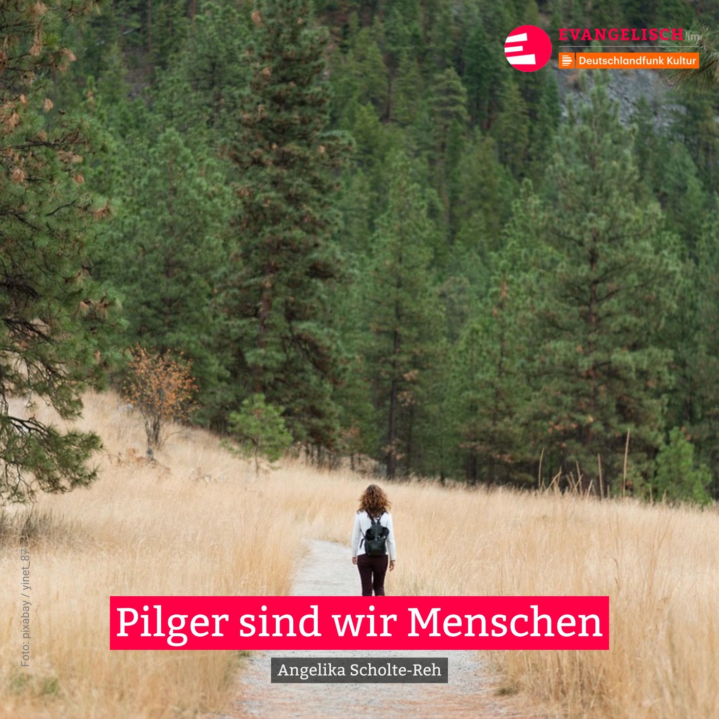 Pilger sind wir Menschen
