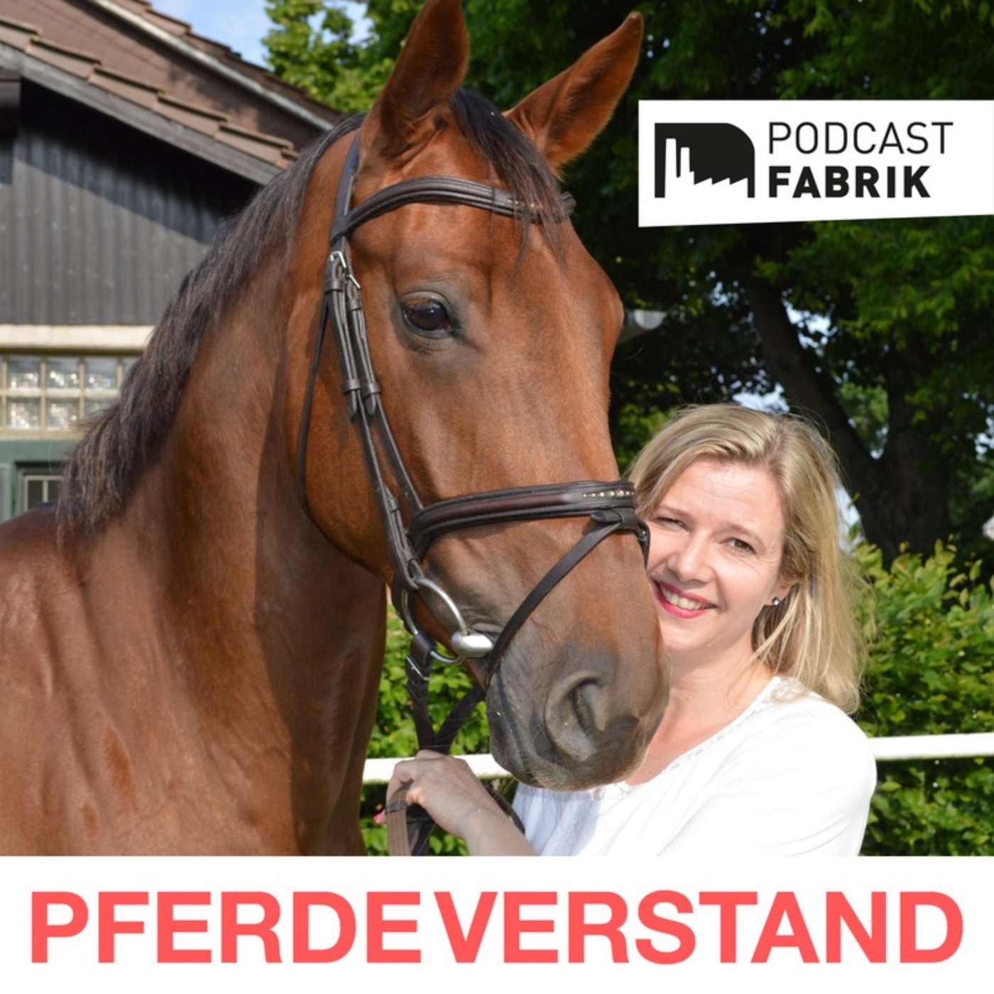 Podcasttipp: Pferdeverstand