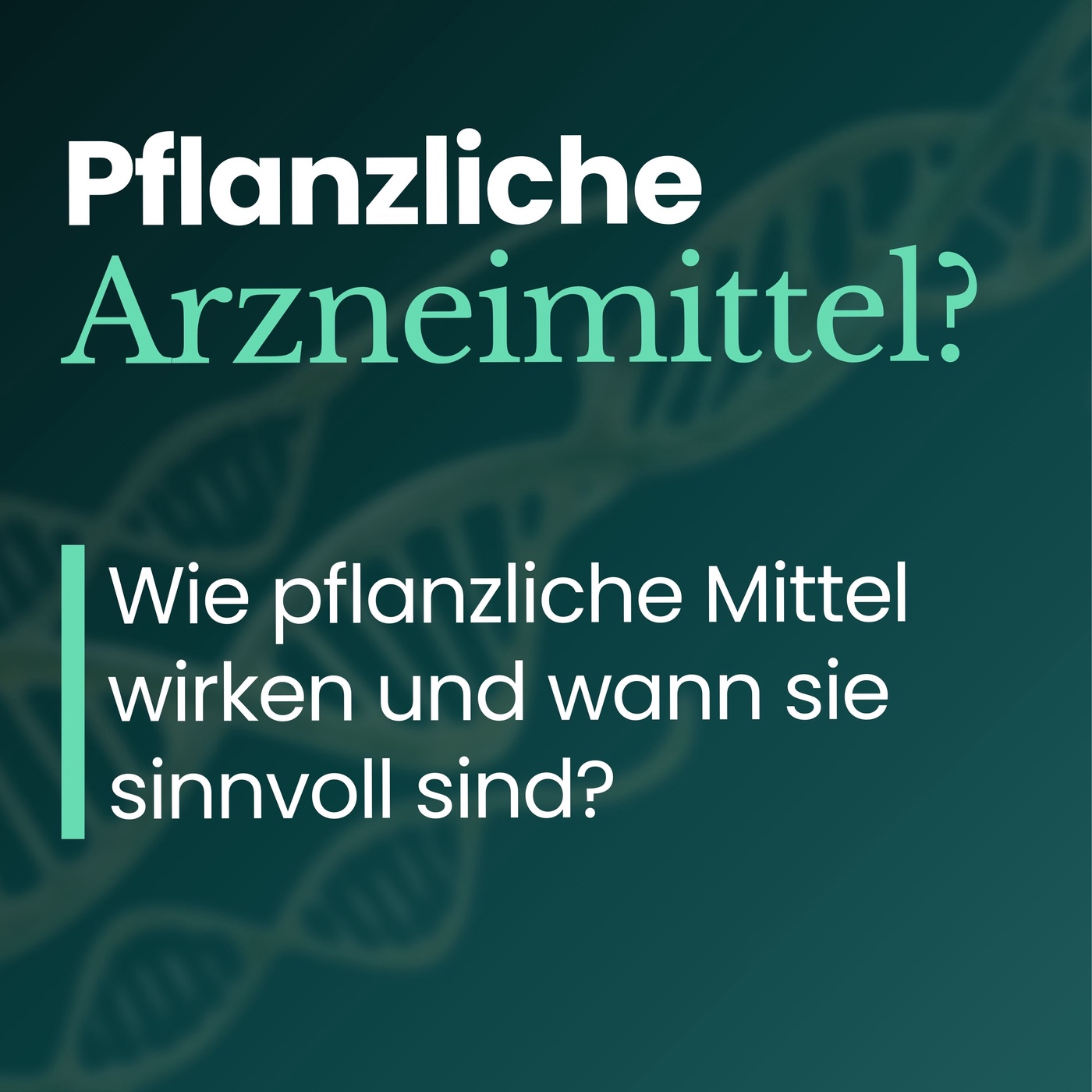 Phytotherapie: Bei welchen Beschwerden Pflanzen wirklich sinnvoll sind | Teil 2