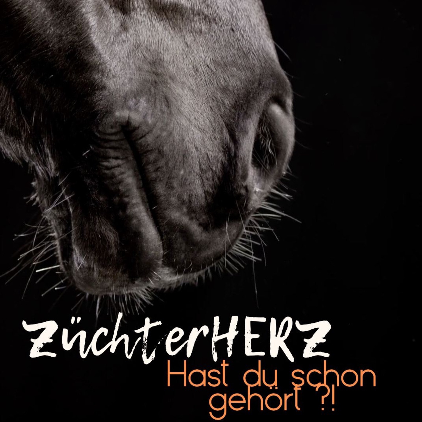 Züchterherz - Hast du schon gehört?