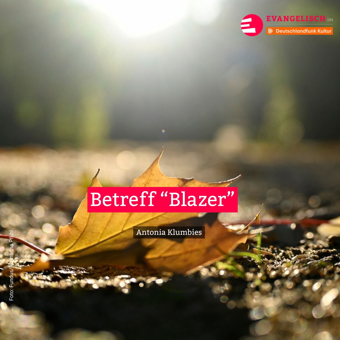 Betreff „Blazer“