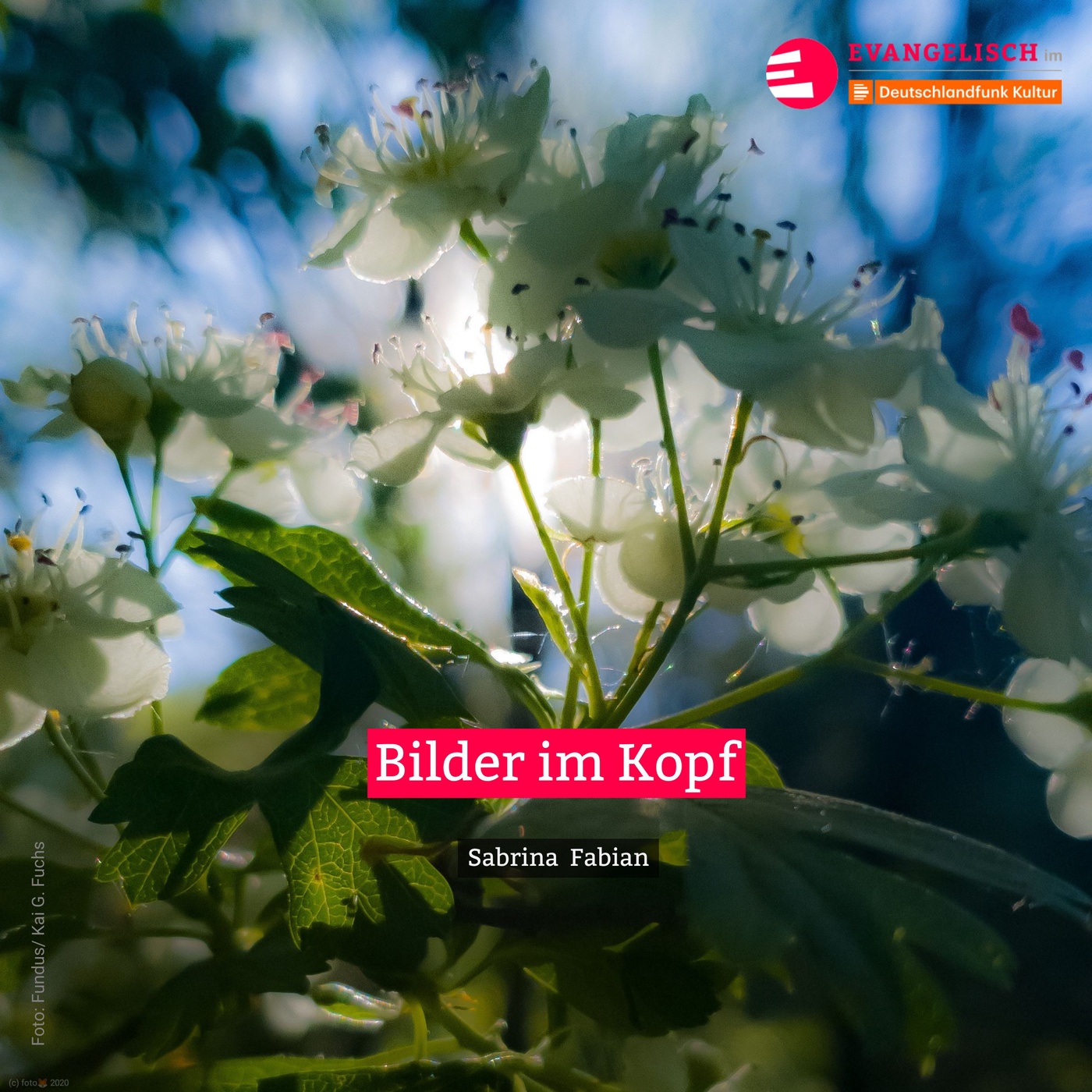 Bilder im Kopf