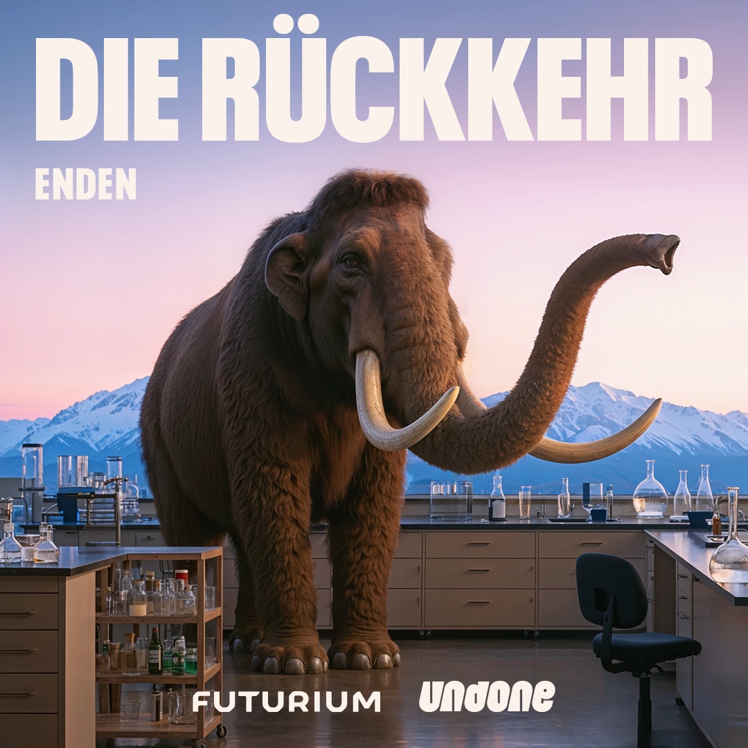 Enden: Die Rückkehr