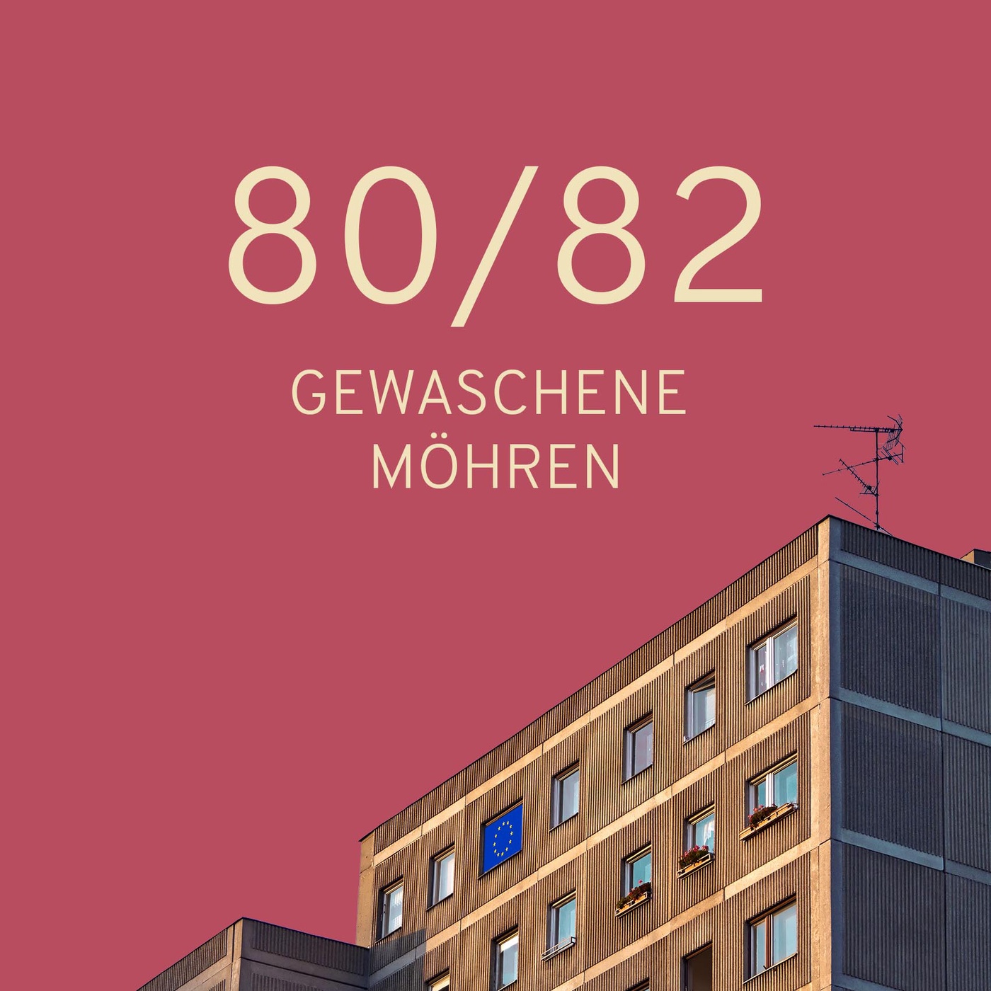 20 – Gewaschene Möhren